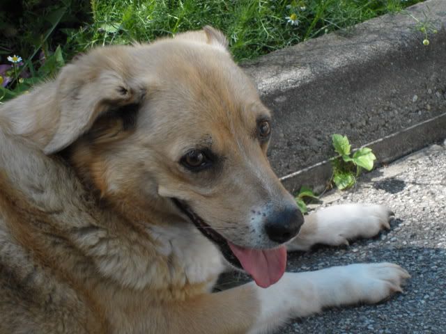 SDC10141.jpg