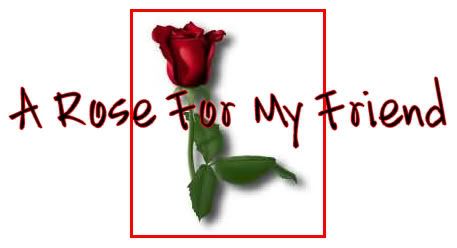 rose to my friend Pictures, Images and Photos
