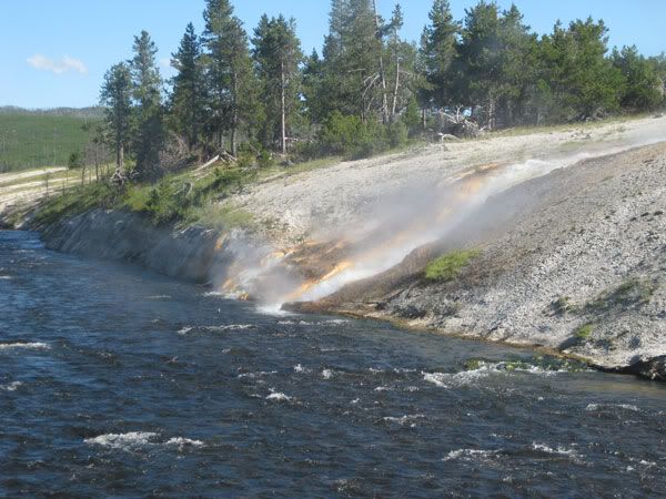 Yellowstone Campout