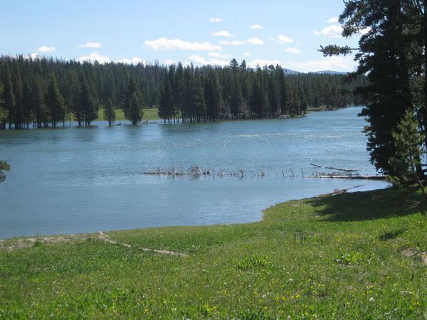 Yellowstone Campout