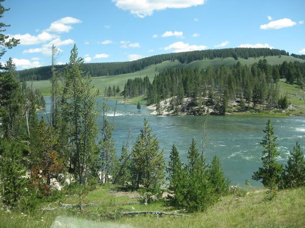 Yellowstone Campout