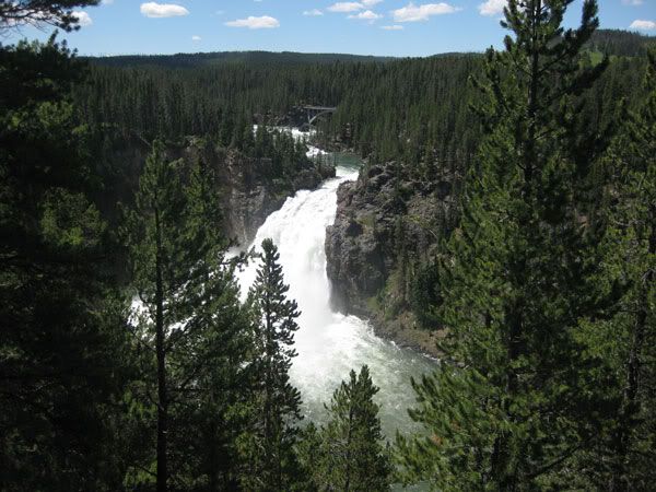 Yellowstone Campout