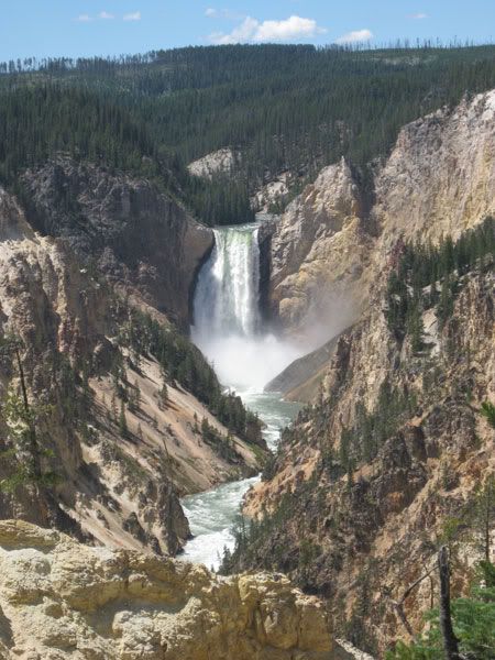 Yellowstone Campout