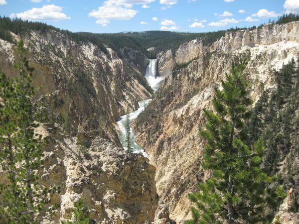 Yellowstone Campout