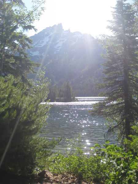 Yellowstone Campout