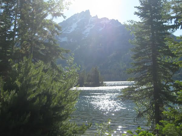 Yellowstone Campout