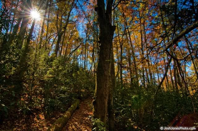 Boogerman Trail Smoky Mountain National Park - Photo by Josh Jones