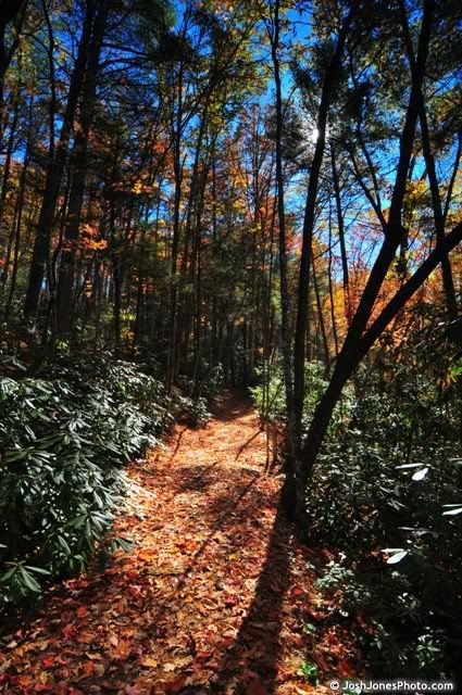 Boogerman Trail Smoky Mountain National Park - Photo by Josh Jones