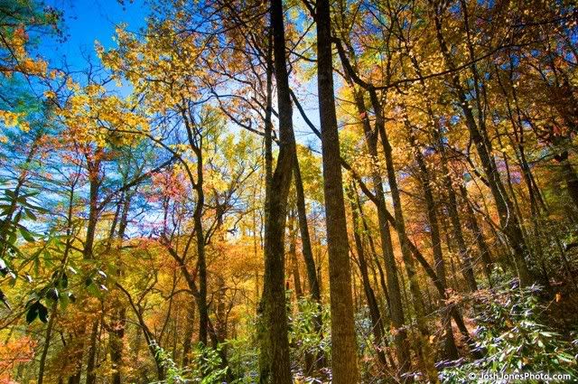 Boogerman Trail Smoky Mountain National Park - Photo by Josh Jones