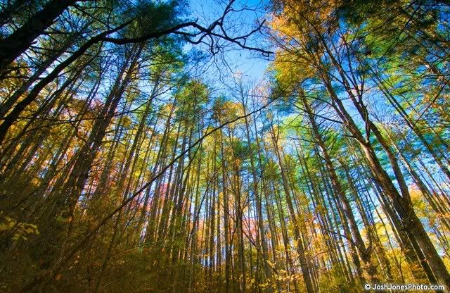 Boogerman Trail Smoky Mountain National Park - Photo by Josh Jones