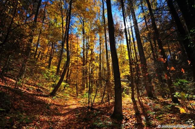 Boogerman Trail Smoky Mountain National Park - Photo by Josh Jones