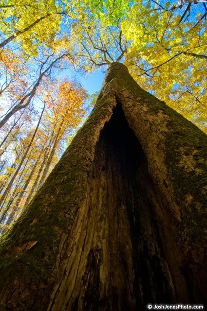 Boogerman Trail Smoky Mountain National Park - Photo by Josh Jones