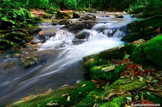 Boogerman Trail at Great Smoky Mountain National Park - Photo by Josh Jones