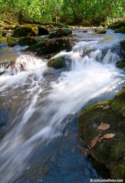 Boogerman Trail at Great Smoky Mountain National Park - Photo by Josh Jones