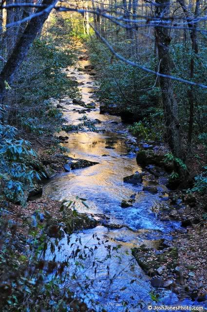 Boogerman Trail at Great Smoky Mountain National Park - Photo by Josh Jones