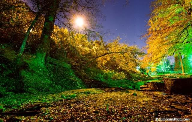 Fall colors by night - Photo by JOsh JOnes