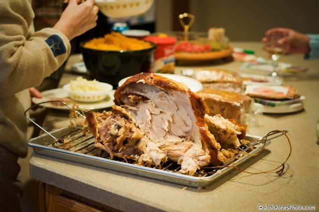Delicious Turkey - Josh Jones Photo