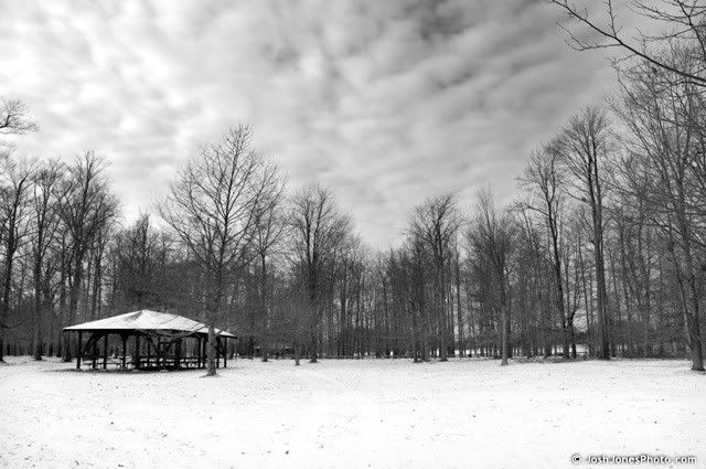 Churchville Park in Winter - Josh Jones Photo