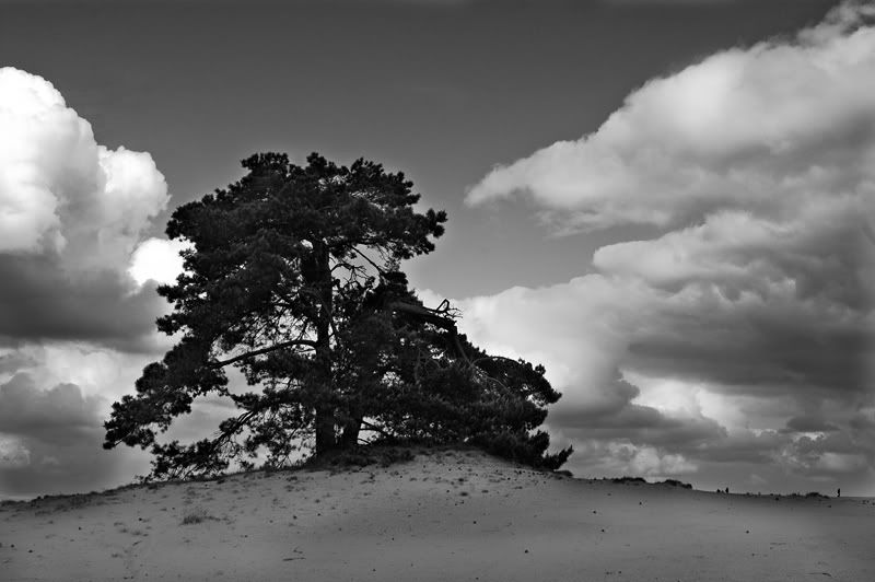 Fotografie