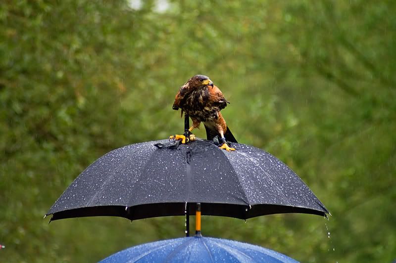 Fotografie