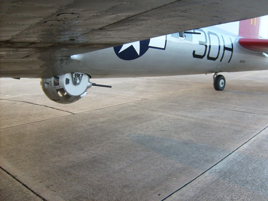 S6300995.jpg