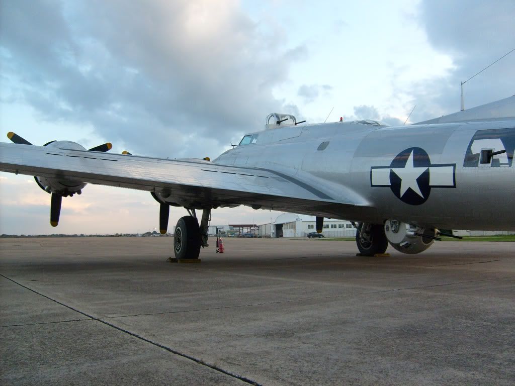 S6300997.jpg