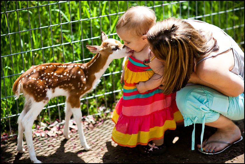 IMAGE: http://i372.photobucket.com/albums/oo169/wishucould00/20130529-IMG_0034_zps8fad5bb8.jpg