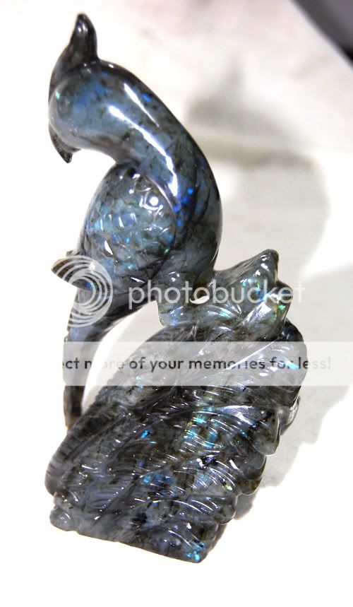 3775ct FABULOUS HAND SCULPTURE TOP QUALITY LABRADORITE RAINBOW PARROT 