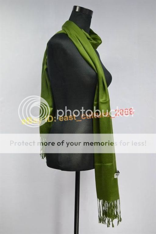 Solid Color Pashmina Cashmere Shawl Wraps Scarf WPS 19  