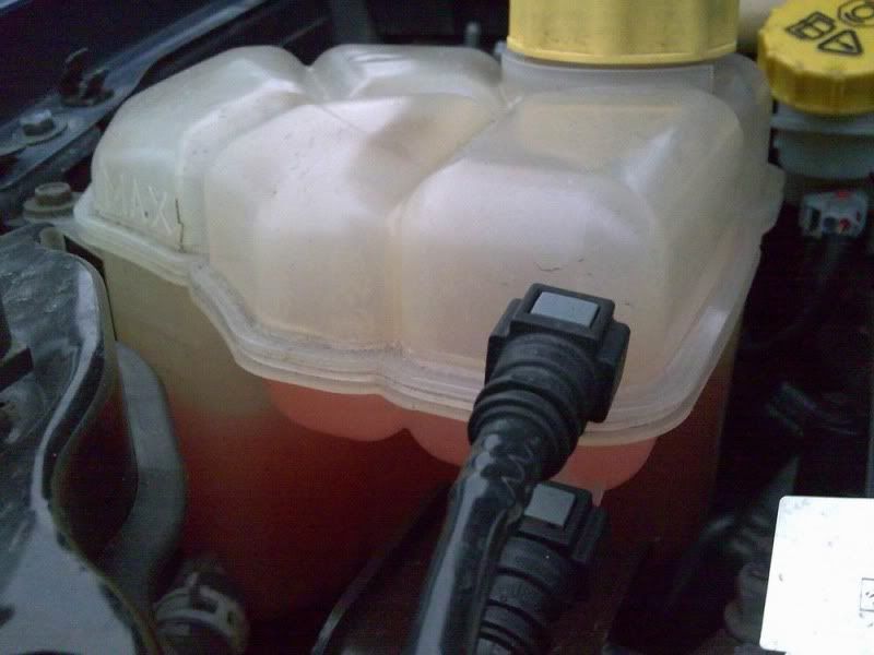 Ford focus leaking antifreeze #1